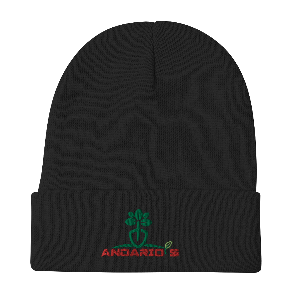 Embroidered Beanie