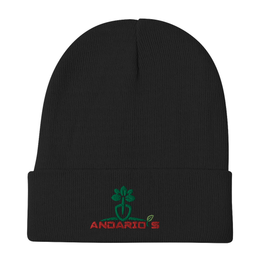 Embroidered Beanie